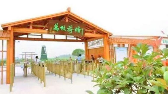 Xinghua