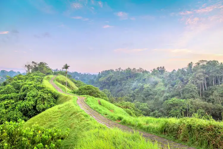 Hotel dekat Campuhan Ridge Walk