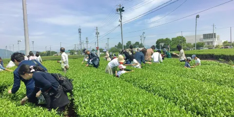 富士之國茶之都博物館