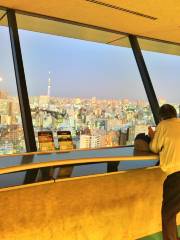 Bunkyo Civic Center observation lounge