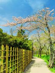 花の都公園