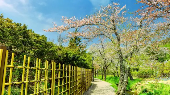 야마나카 호 하나노 미야코공원