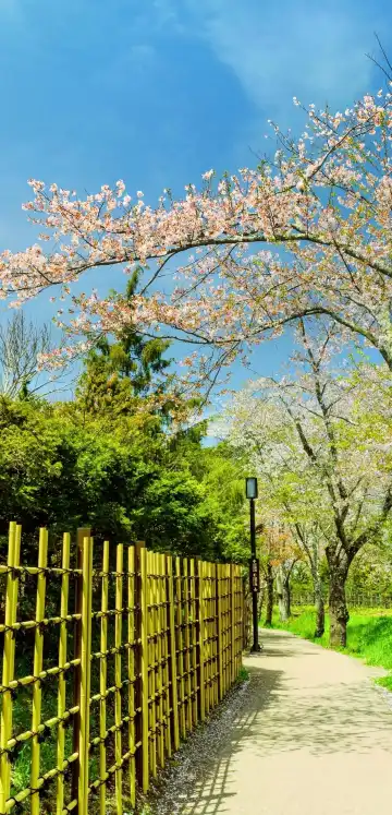 花の都公園周辺のホテル