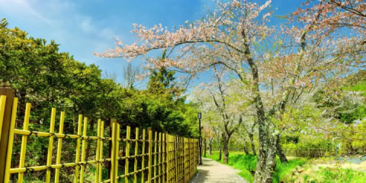 山中湖 花之都公園