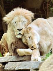 フィラデルフィア動物園