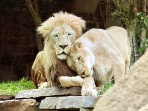 Philadelphia Zoo
