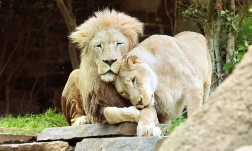 Philadelphia Zoo