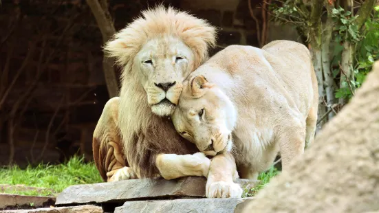 フィラデルフィア動物園