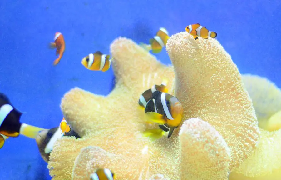 Longmen Aquarium