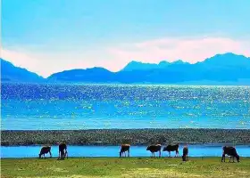 Ulungur Lake