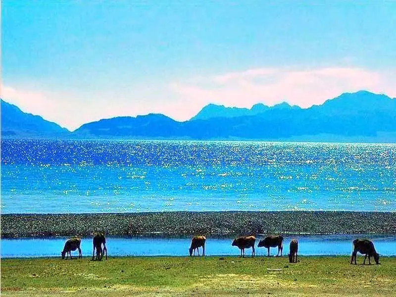 烏倫古湖國家濕地公園