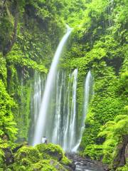 Sendang Gile and Tiu Kelep Waterfall