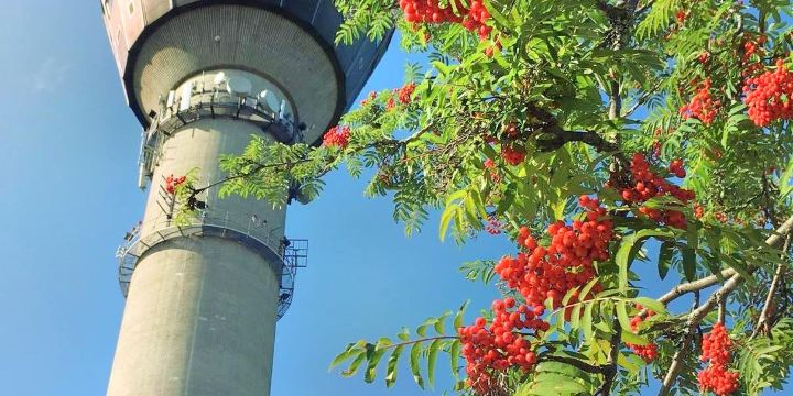 Puijo tower