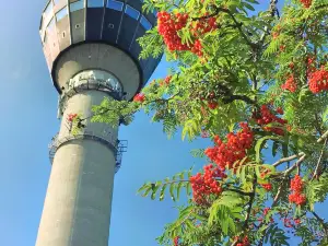 Puijo tower