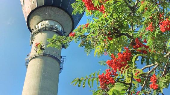 Puijo tower