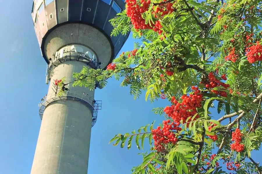 Puijo tower