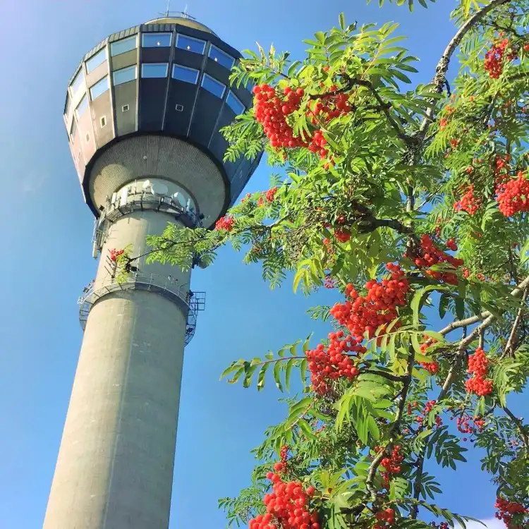 Hotels near Puijo tower