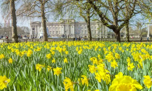 The Green Park