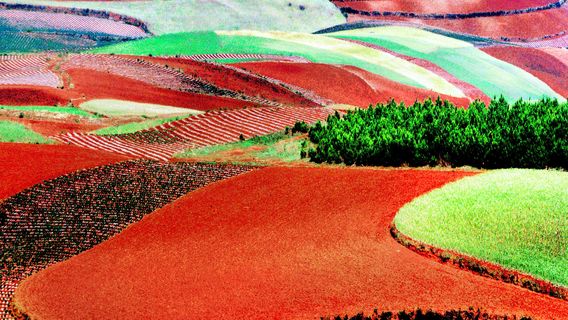 Jinxiu Garden Colorful Slope