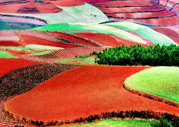 Jinxiu Garden Colorful Slope