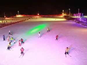 자백산 국제 스키장
