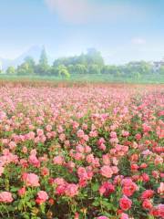 Xinsha Island Rose Garden