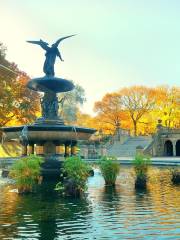 Bethesda Fountain