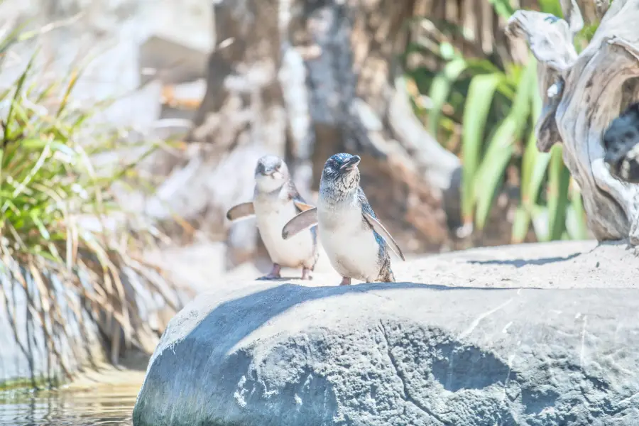 The National Aquarium of New Zealand