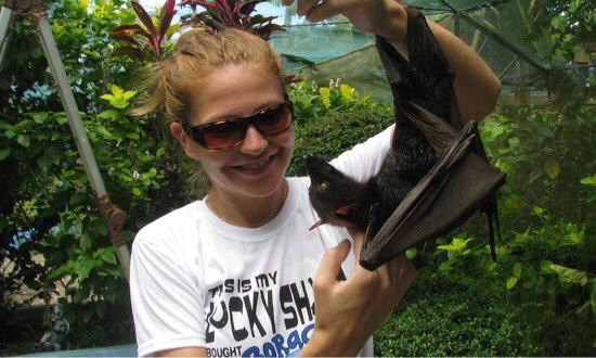 Boracay Butterfly Garden