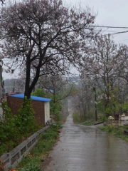 Miaotou Gaogou Village