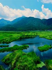 Beihai Wetlands