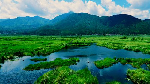 Beihai Wetlands