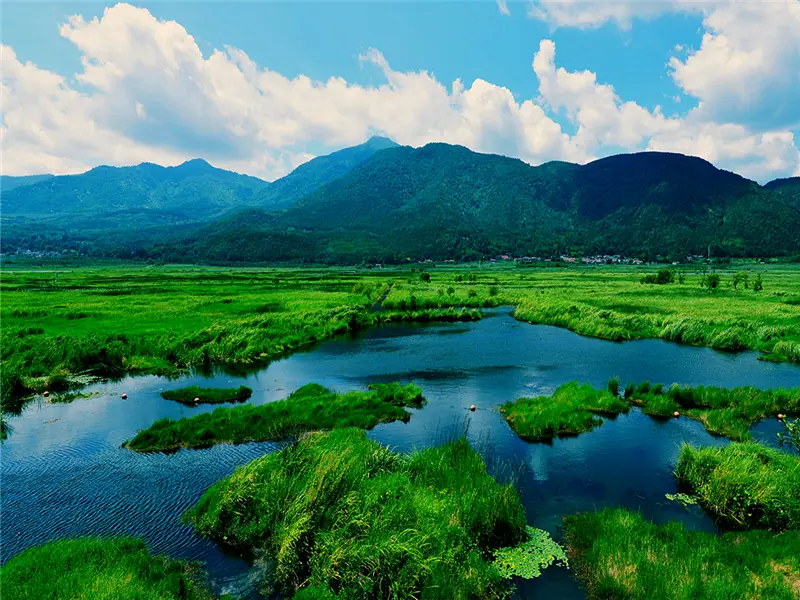 北海湿地