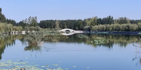 白家灣公園路