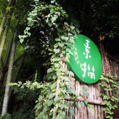 SM 여행 사진