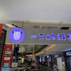 Yizhisuannainiu (beichengtianjie) User Photo