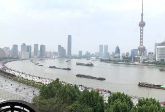 Mercato by Jean-Georges意大利餐廳用戶圖片