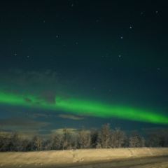 Tzarskaya Okhota User Photo
