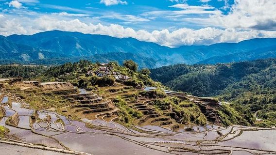 นาขั้นบันไดบานาเว