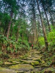 Kumano Kodo