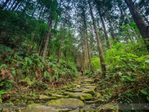 Kumano-Kodo Nakahechi Pilgrimage Route