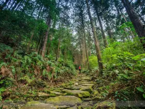 Kumano-Kodo Nakahechi Pilgrimage Route