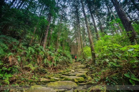 Kumano-Kodo Nakahechi Pilgrimage Route