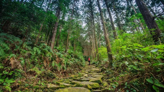 Kumano-Kodo Nakahechi Pilgrimage Route