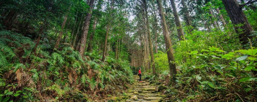 Kumano-Kodo Nakahechi Pilgrimage Route