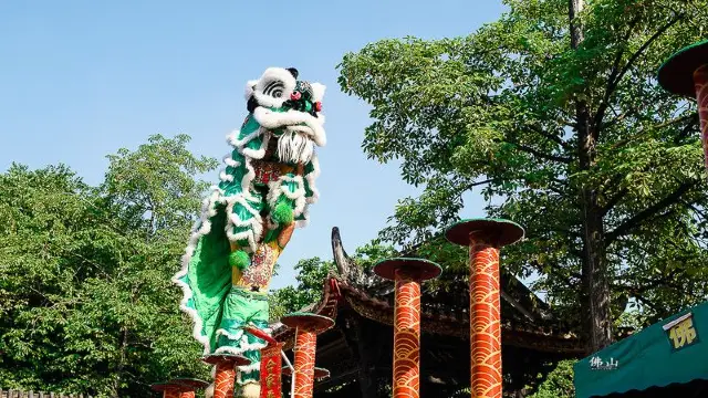 Lion Dance Performances in Foshan
