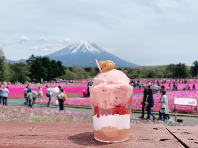 來日本關東，好多嘅地方都好適合自駕遊！| 今次山中湖推薦！