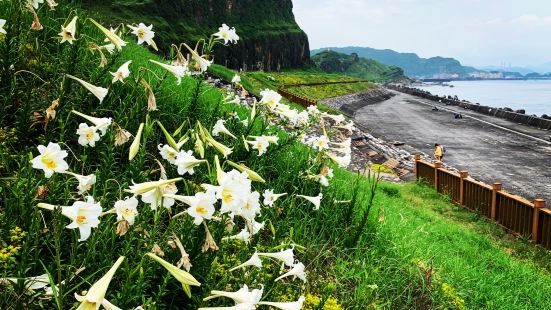 基隆潮境公園是北台灣著名的海蝕平台地貌海岸，特殊的地貌景觀，