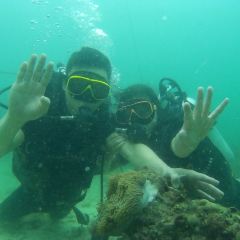 超雷海鮮張用戶圖片