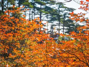 黃山風景區